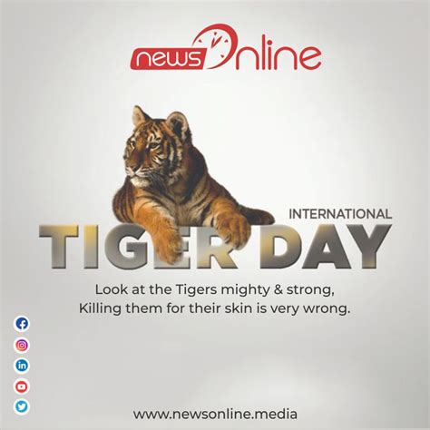 But on those days when peace seems so out of reach, even with the help of. International Tiger Day 2020, Images, Quotes, Wishes ...