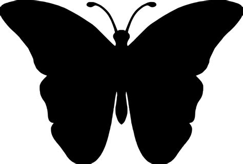 Silueta Mariposa Insectos Gráficos Vectoriales Gratis En Pixabay
