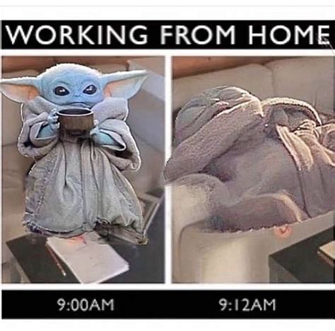 The internet has been going nuts and completely losing its mind over baby yoda. Baby Yoda - Working From Home in 2020 | Yoda funny, Yoda ...