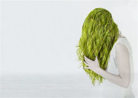 If you're hair is already green from the swimming pool, you can use a shampoo that chelates the metal… chelate: The Science of How Swimmer's Hair Works | Swimmers hair ...