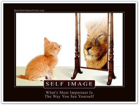 Whats Most Important Is The Way You See Yourself Worthy Christmas Kitten Meaningful Pictures