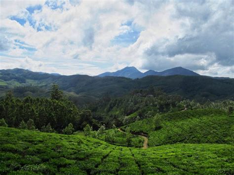Munnar Kerala Places To Visit In Munnar That Cant Be Missed