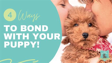 4 Ways To Bond With Your Puppy Youtube