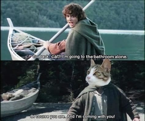 The Best Cat Meme Ever Meme By Arrowguy Memedroid