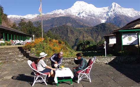 himalaya lodge hotel review ghandruk nepal travel