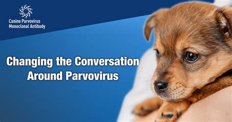 Elanco Announces Breakthrough Treatment For Deadly Canine Parvovirus
