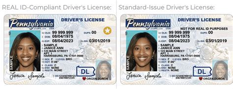 What Is The Real Id And What Do You Need To Really Get One