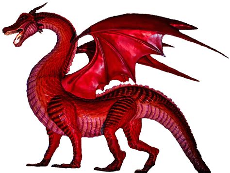 Dragon Clipart Red Dragon Wyrmling Dandd Transparent Png 48 Off