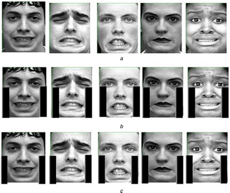 Random Images For Fear Expression From Ck Data Set A Images Showing