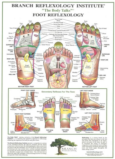 Pin By Dzero On Acupressure Foot Reflexology Reflexology Massage