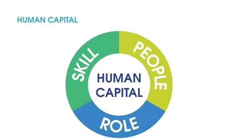 Human Capital Theory In Human Resource Management Ke
