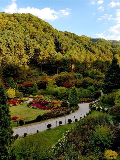 The Garden Of Morning Calm South Korea Travel Planning