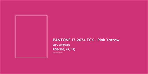 About Pantone 17 2034 Tcx Pink Yarrow Color Color Codes Similar