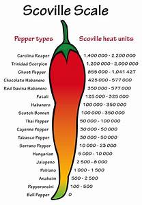 What Is The Scoville Scale Come And Find Out All About It