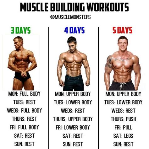 Muscle Building Workouts By Musclemonsters There Is No Best Workout