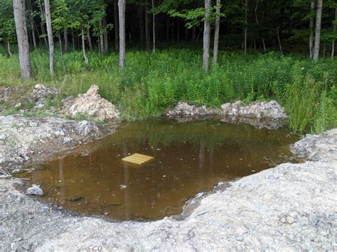 Building a Micro Minnow Pond? - Pond Boss Forum