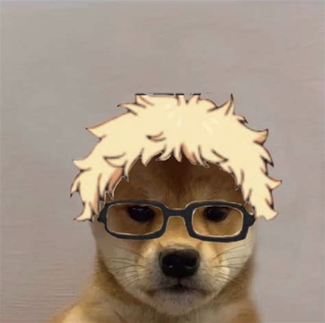 Each day we scour the depths of internet humor to find the cream of the comedy crop. Haikyuu in 2020 | Anime meme face, Haikyuu, Haikyuu anime