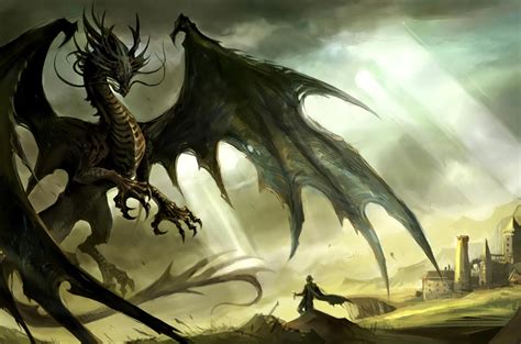 The Defining Qualities of a Dragon - Draconem