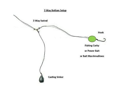 Trout rig | Fish, Trout fishing tips, Fishing rigs