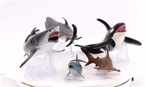Wholesale Solid Pvc Simulation Whale Dolphin Shark Model Plastic Animal