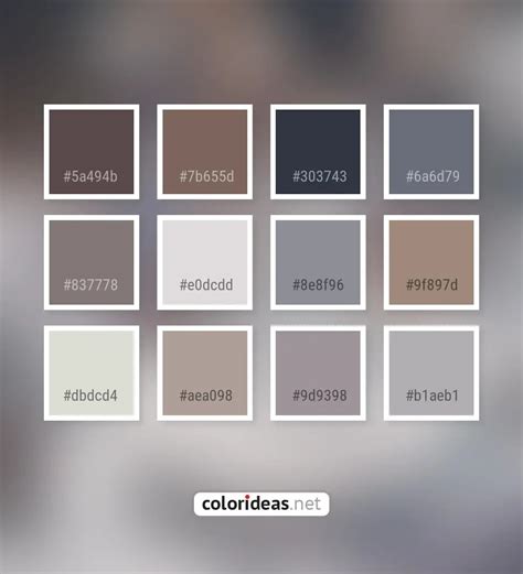 Don Juan Dark Gray Smoked Bon Jour Beige Color Palette Color