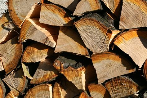 Chopped Wood 1 Free Photo Download Freeimages