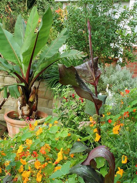 11 Design Tips For A Stunning Container Garden