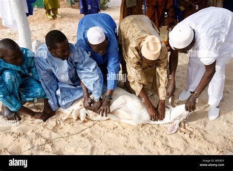 Sénégal Dakar Tabaski Festival Sheep Slaughtered After The Eid Prayer