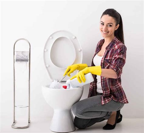 7 Different Types Of Toilet Cleaners 2022