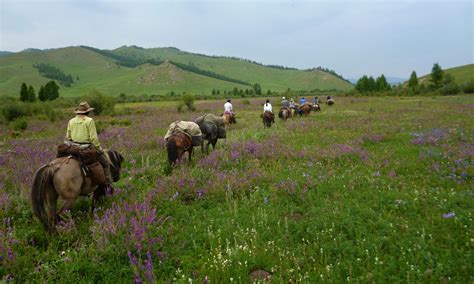 Gorkhi Terelj National Park Horse Riding Tour And Expedition Horse