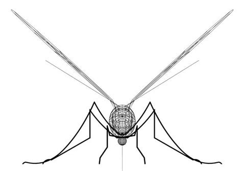 10 Gnat Drawing Stock Photos Pictures And Royalty Free Images Istock
