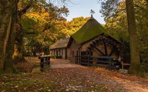Autumn At The Watermill Forest Landgoed Geijsteren Photography
