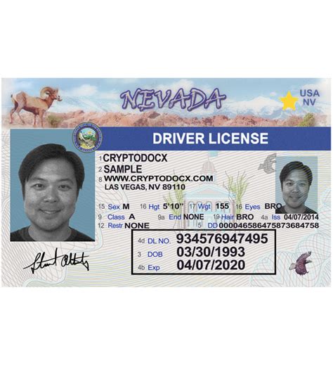 Editable Nevada Drivers License Template