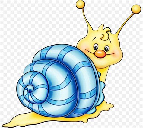 Snails And Slugs Snail Sea Snail Clip Art Slug Png 800x735px