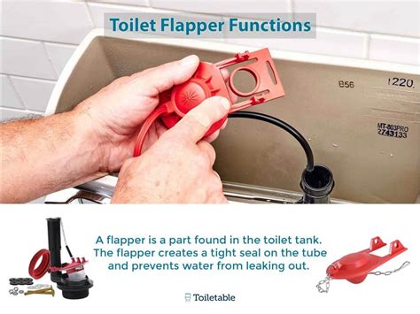 How Many Types Of Toilet Flappers Are There Best Design Idea