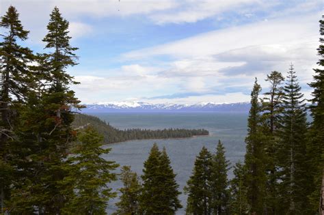 Landscape Through The Pine Trees At Lake Tahoe In Emerald