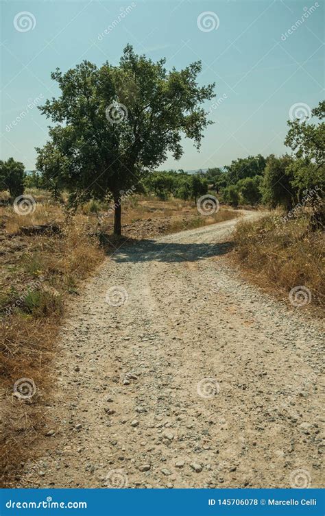 Countryside Dirt Road Passing Through Rocky Terrain Stock Photo Image