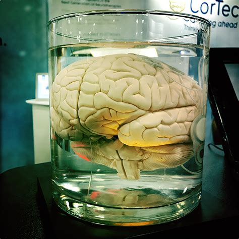 Brain In A Jar Sfn Jonesblog