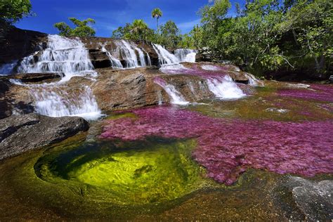 Caño cristales is a colombian river located in the serrania de la macarena province of meta, and is a tributary of the guayabero river. Caño Cristales - Der Fluß der Fünf Farben | Kolumbienblog