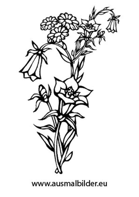 Um die sommerliche blumenwiese auszumalen, braucht es etwas geschick und feingefühl. Ausmalbilder Blumen - Blumen Malvorlagen ausmalen