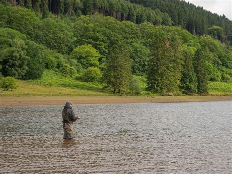 Lake Fishing Heaven Brown Trout In The Beacons Fishing In Wales