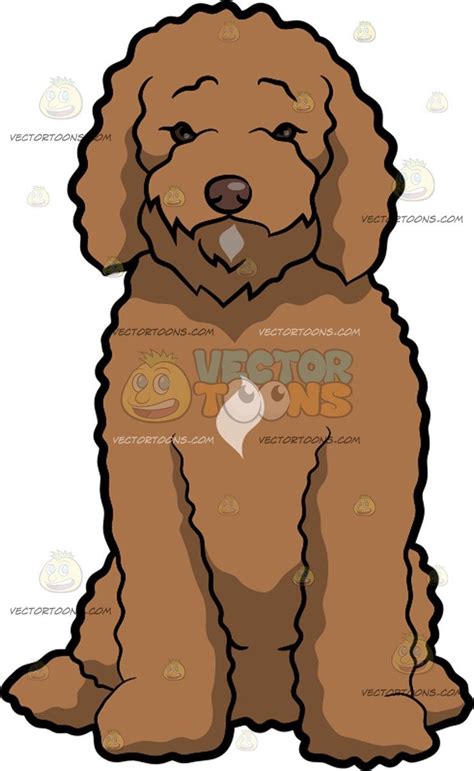 A Lonesome Labradoodle Dog Labradoodle Dogs Labradoodle Animal Clipart