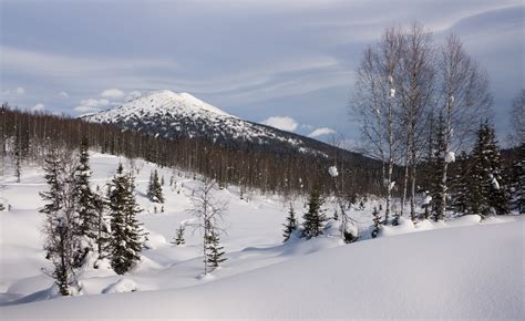 картинки пейзаж дерево природа лес гора снег холодно зима