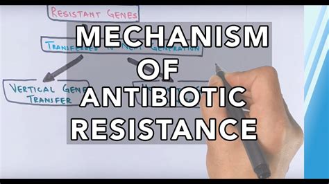 Mechanism Of Antibiotic Resistance Youtube