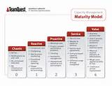 Images of It Management Maturity Model