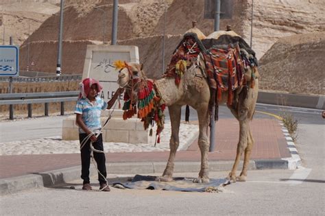 This is going to be not just a holiday but a real experience. Part 5. Israel: Into the Wilderness and Goodbyes - Metro ...