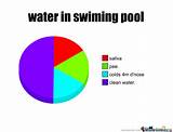 Swimming Pool Meme Images
