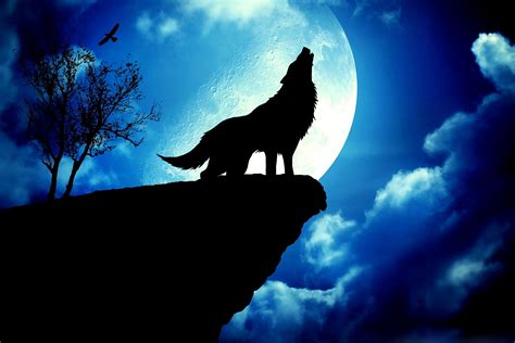 In The Night Of 12 January The Moon Will Become A Full Wolf Moon