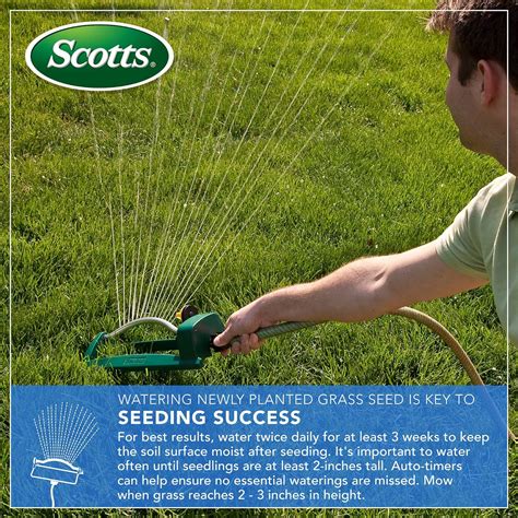 Buy Scotts Turf Builder Grass Seed Dense Shade Mix For Tall Fescue