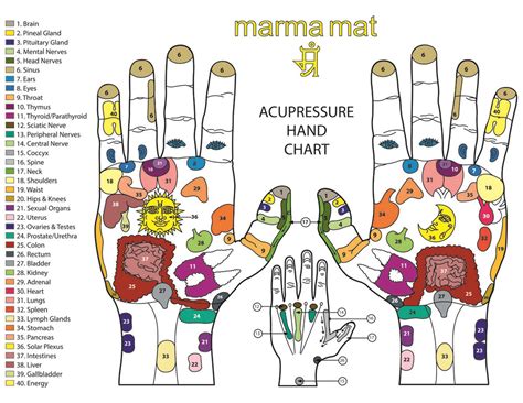 Powerful Mudras And Their Meanings Mudras Yoga Facts Mudras Meanings